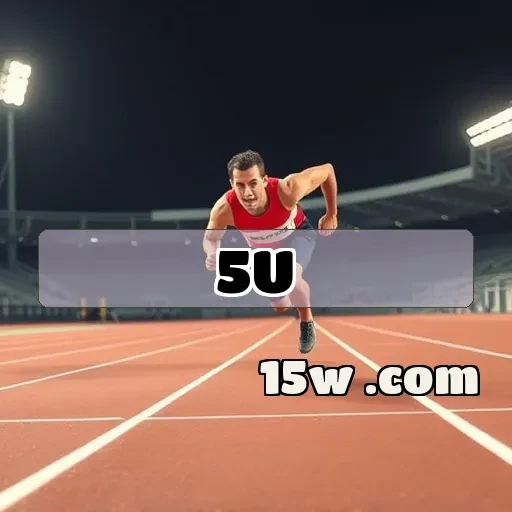 5u.com Estratégia